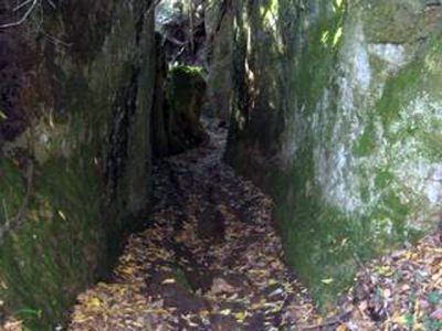 via cava lente